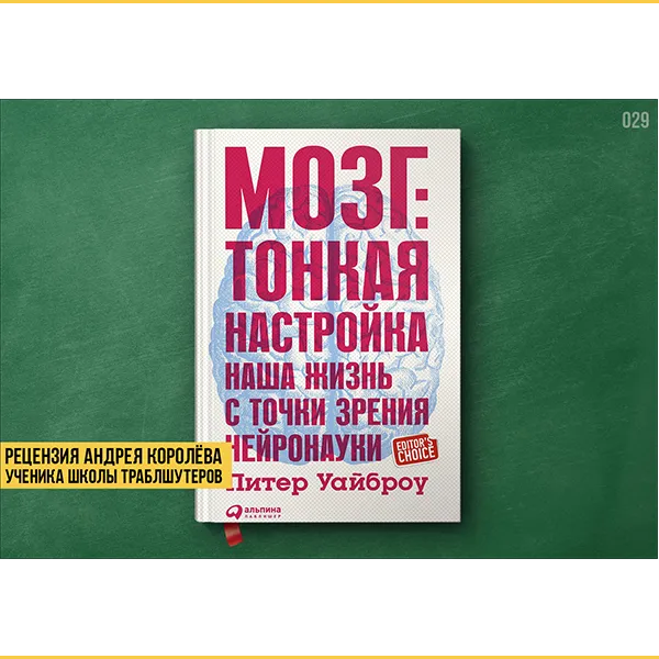 Рецензия на книгу «Мозг: тонкая настройка»