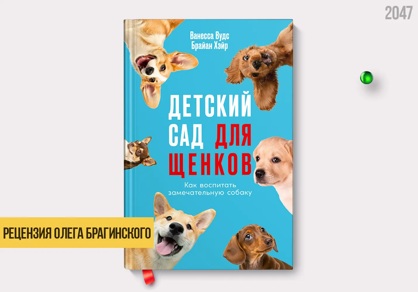Рецензия на книгу «Детский сад для щенков»